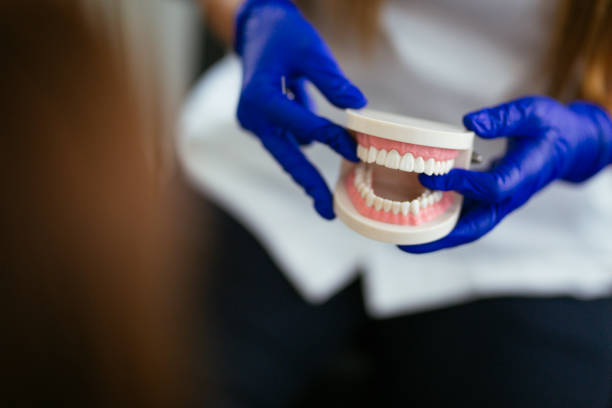 Best Traditional Braces  in Clayton, GA